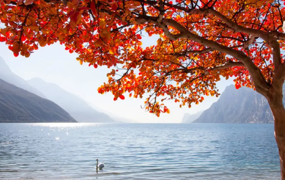 Offerta Settembre sul Lago di Garda